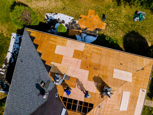 Best Gutter Installation and Roofing  in Audubon Park, NJ