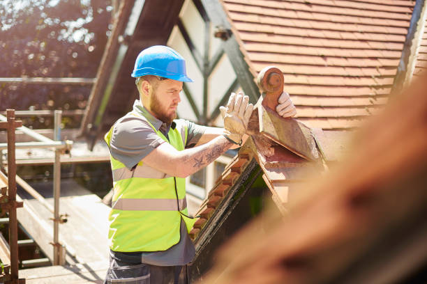 Best Roof Maintenance Services  in Audubon Park, NJ